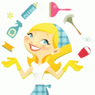 Cleaning Lady Cleaning Lady