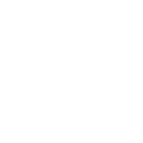 Icon: Physical Therapy